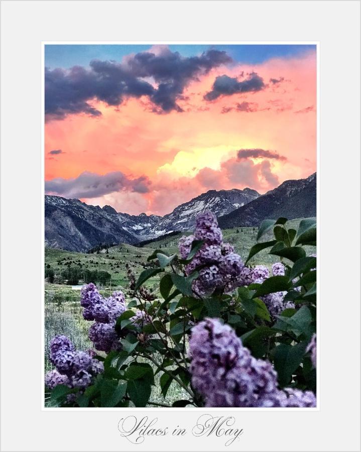 Pine Creek Cabin Livingston Montana Eksteriør billede