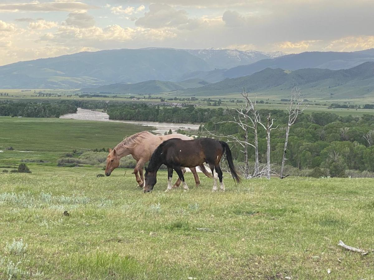 Pine Creek Cabin Livingston Montana Eksteriør billede