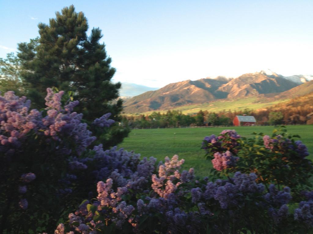 Pine Creek Cabin Livingston Montana Eksteriør billede