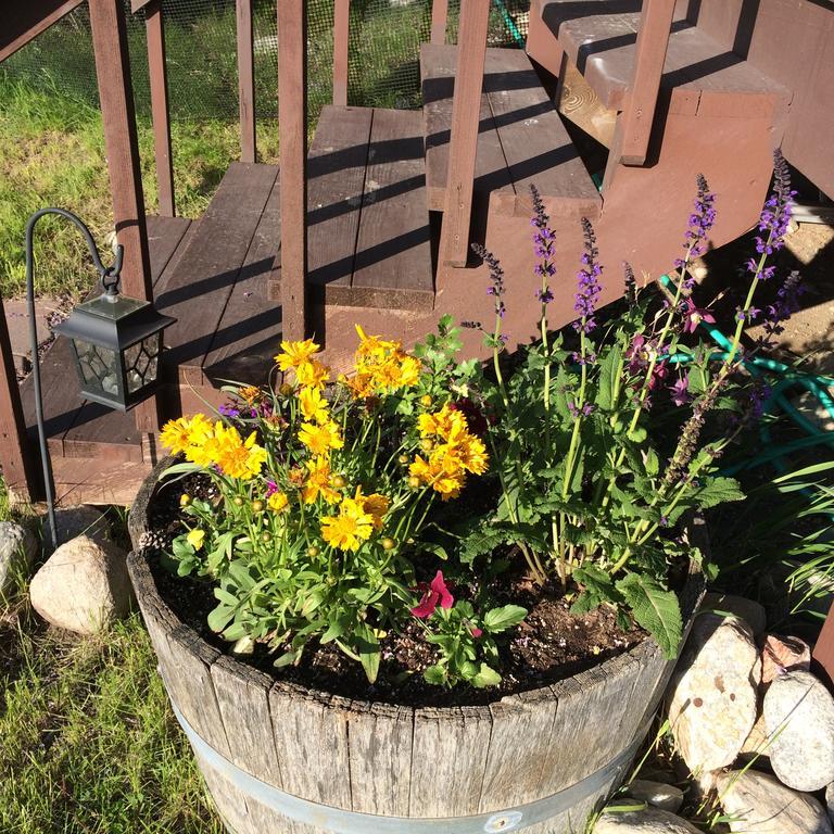 Pine Creek Cabin Livingston Montana Eksteriør billede