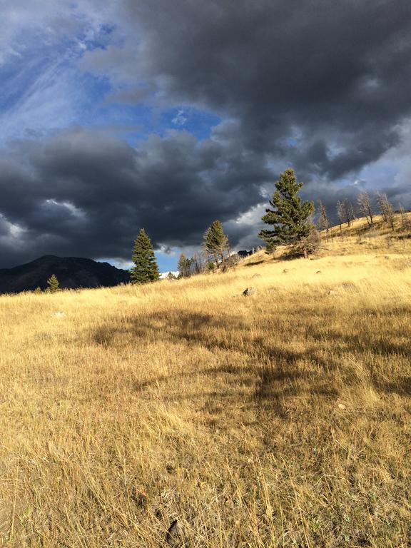 Pine Creek Cabin Livingston Montana Eksteriør billede